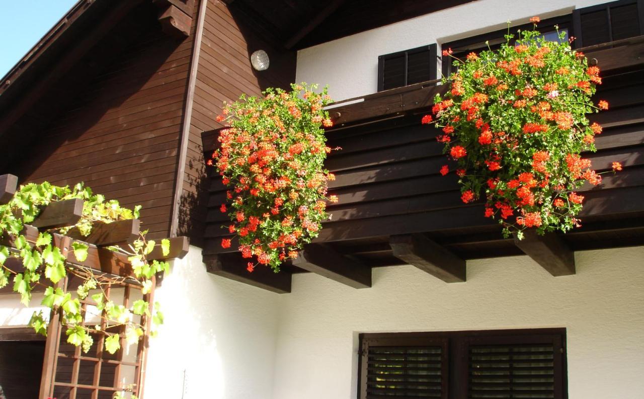 Apartment Ksenija *